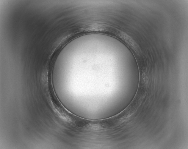 X0000073930534200608111203