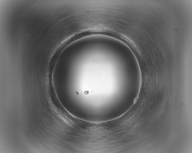 X0000073930535200608111203