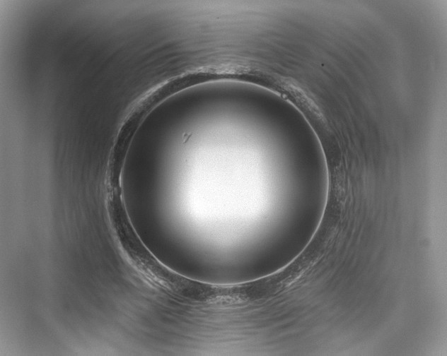 X0000073930536200608111203