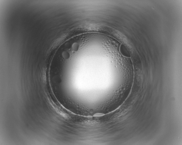 X0000073930537200608111203