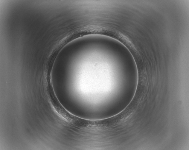 X0000073930538200608111203