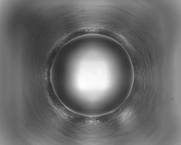 X0000073930543200608111203