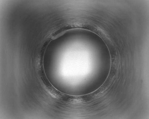 X0000073930548200608111203