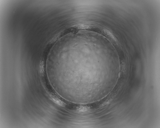 X0000073930549200608111203