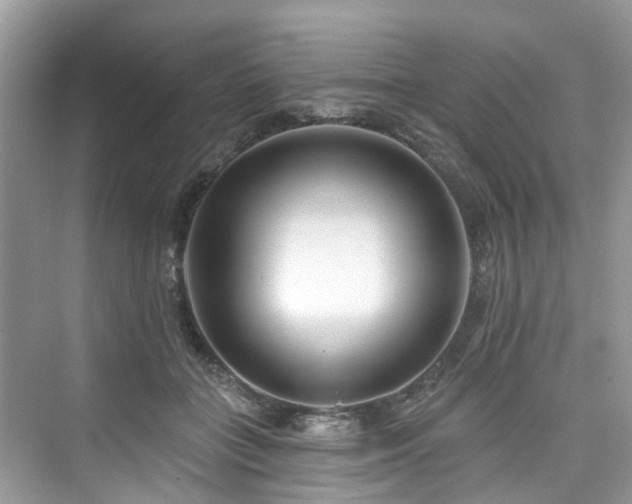 X0000073930555200608111203