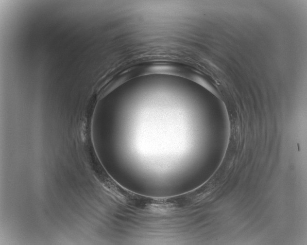 X0000073930556200608111203