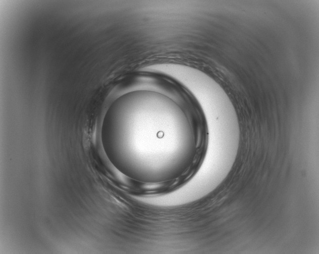 X0000073930558200608111203