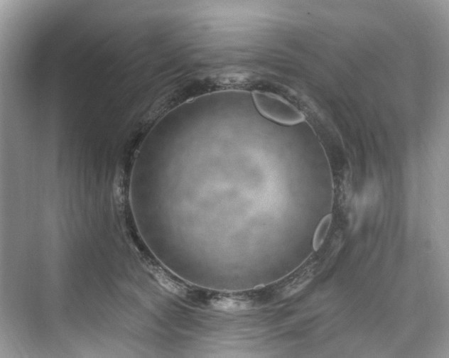 X0000073930561200608111203