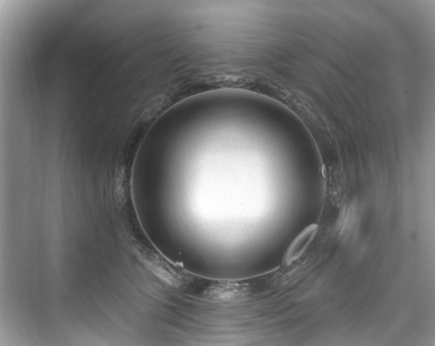 X0000073930563200608111203