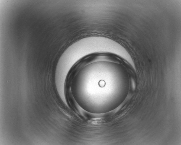 X0000073930564200608111203