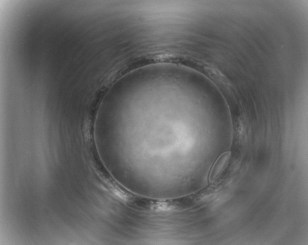 X0000073930565200608111203