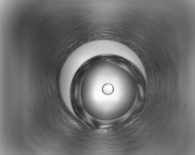 X0000073930566200608111203