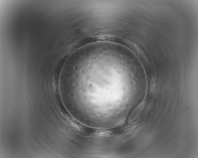 X0000073930569200608111203