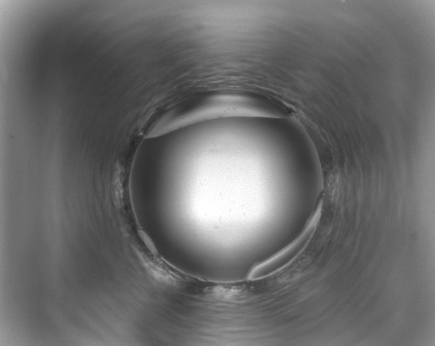 X0000073930570200608111203