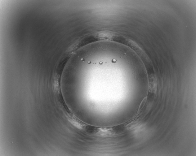 X0000073930573200608111203