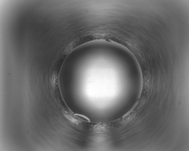 X0000073930574200608111203