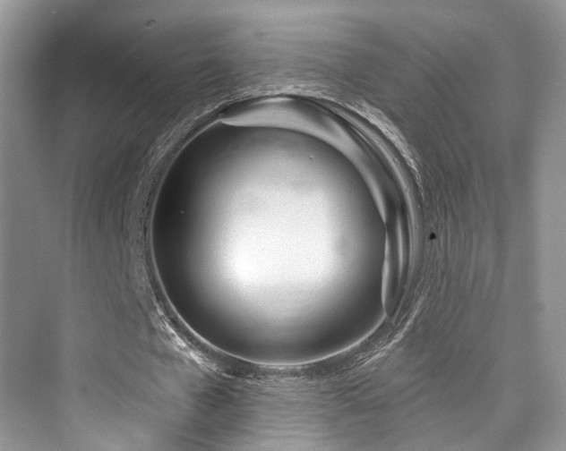 X0000073930577200608111202