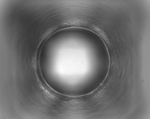 X0000073930578200608111202