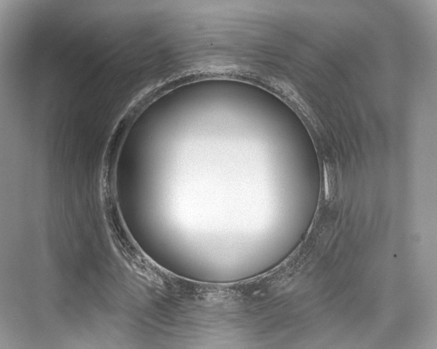 X0000073930579200608111202