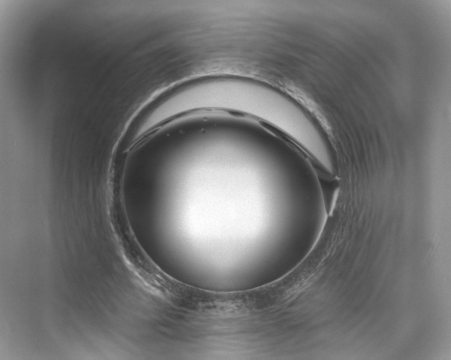 X0000073930580200608111202