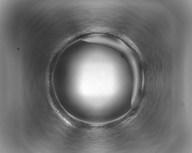 X0000073930581200608111202