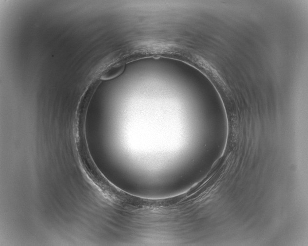 X0000073930582200608111202