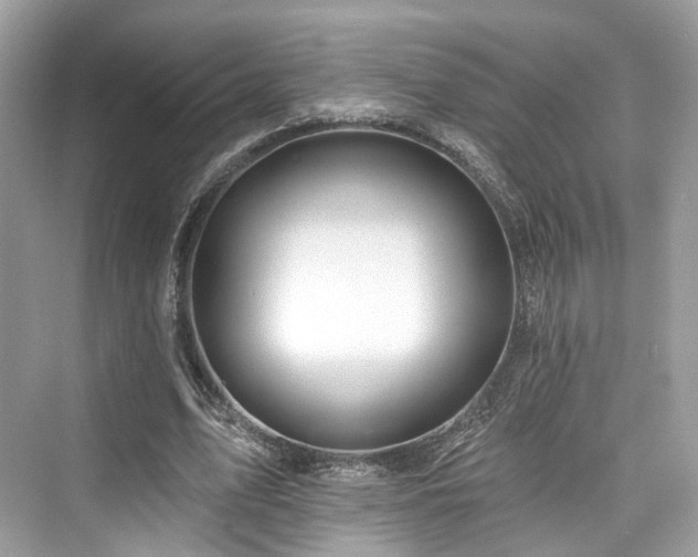 X0000073930583200608111202