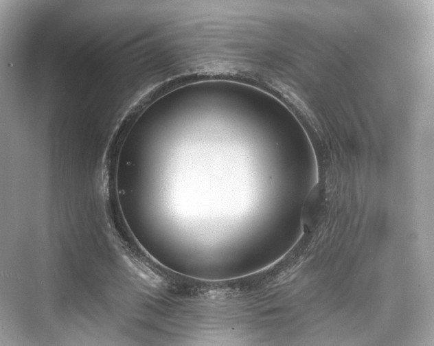 X0000073930584200608111202