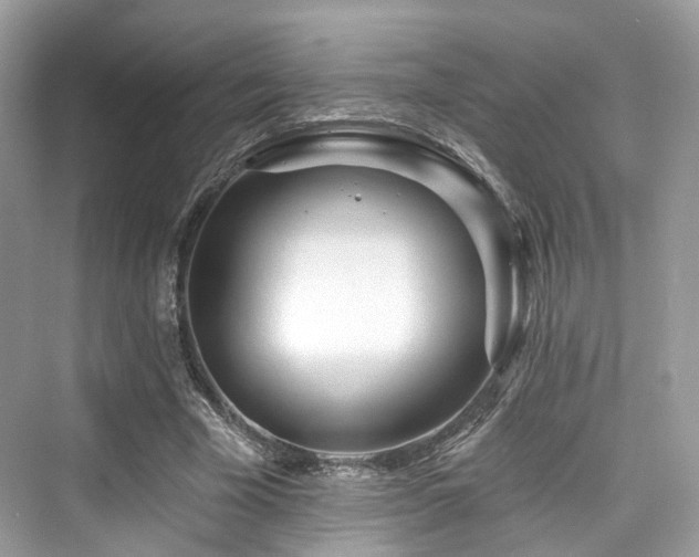 X0000073930585200608111202