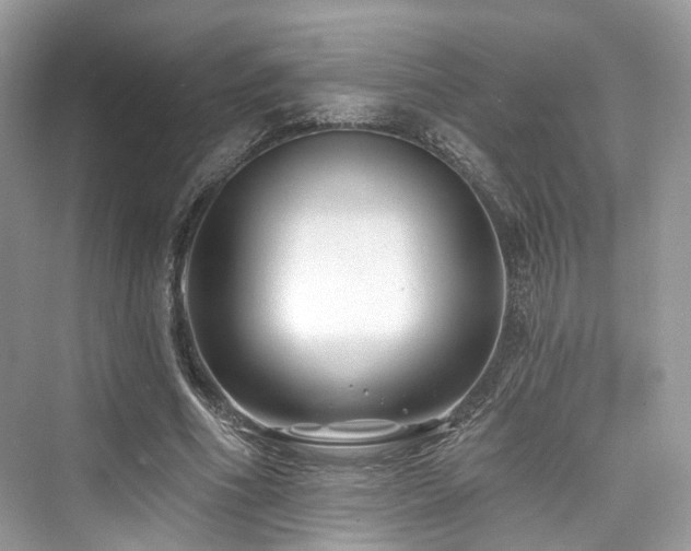 X0000073930586200608111202