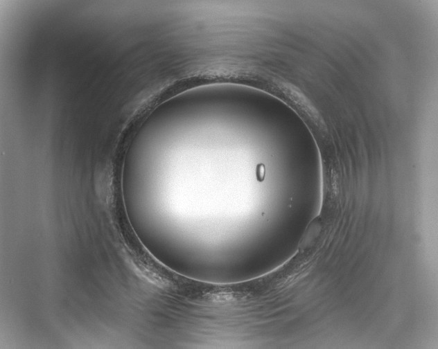 X0000073930588200608111202