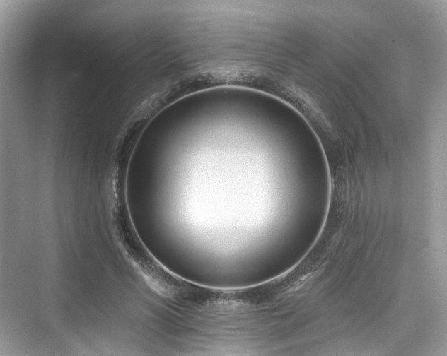 X0000073930590200608111202