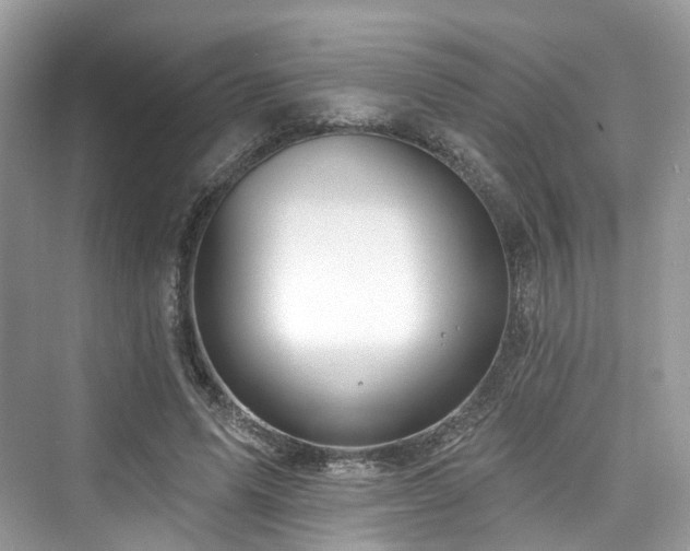 X0000073930591200608111202