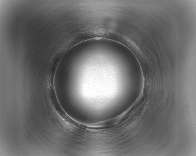 X0000073930593200608111202