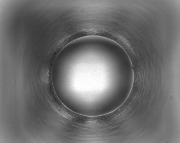 X0000073930596200608111202