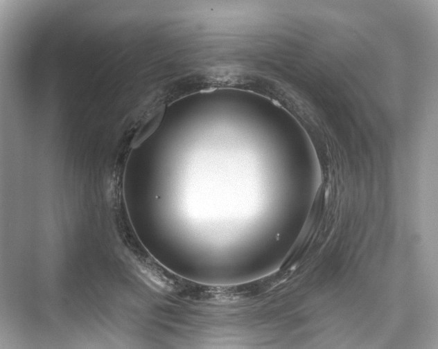 X0000073930601200608111202