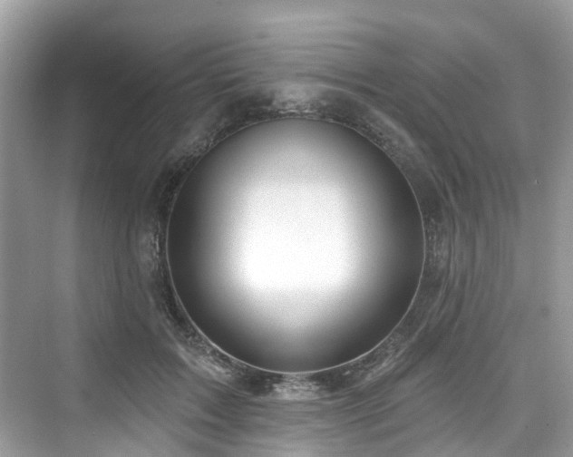 X0000073930603200608111202