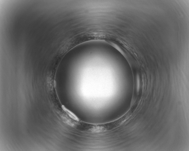 X0000073930609200608111202