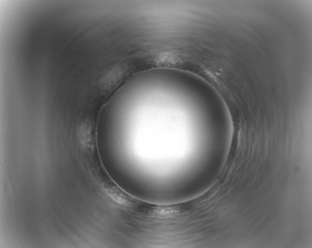 X0000073930619200608111202