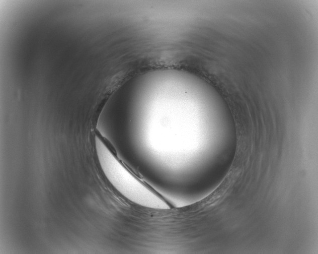 X0000073930624200608111202