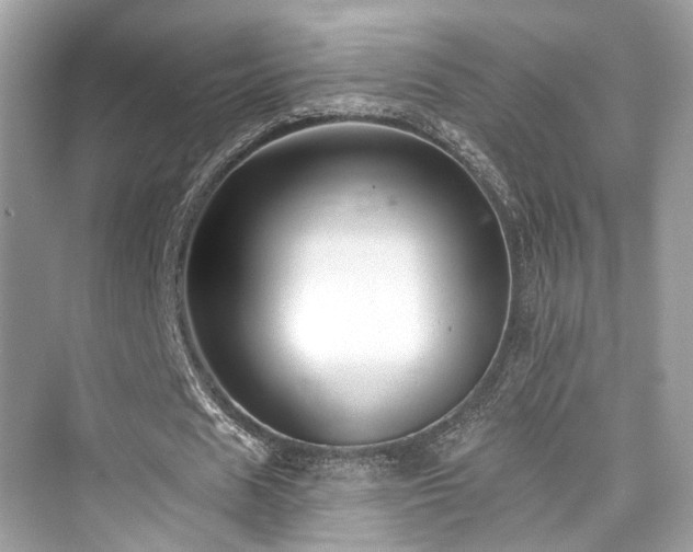 X0000073930625200608111201