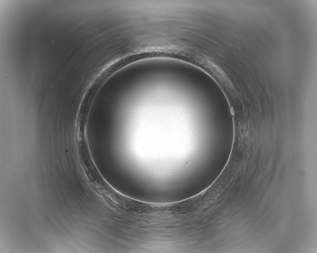 X0000073930628200608111201