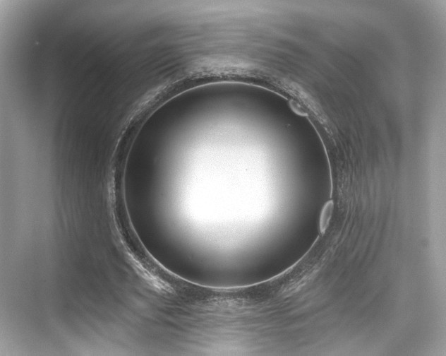 X0000073930629200608111201