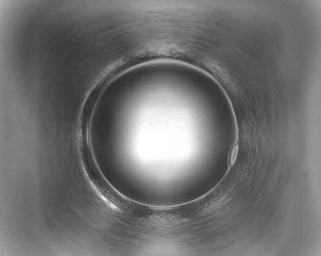 X0000073930630200608111201