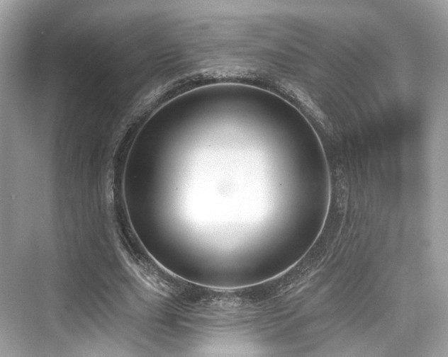 X0000073930631200608111201