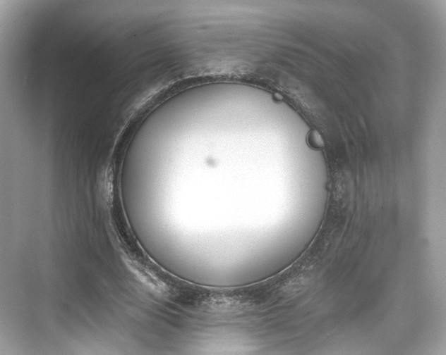 X0000073930632200608111201