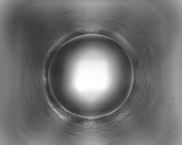 X0000073930634200608111201