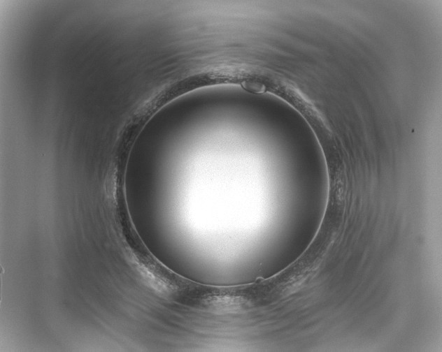 X0000073930637200608111201