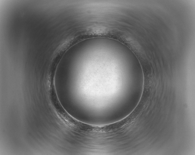 X0000073930640200608111201