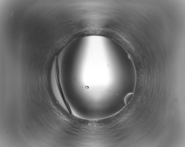 X0000073930641200608111201